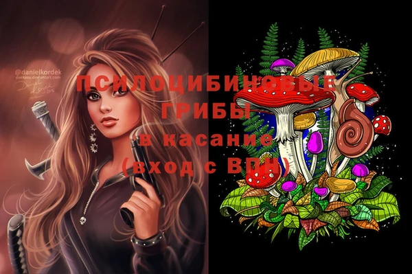 мяу мяу мука Дмитровск