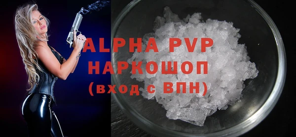 хмурый Алексин