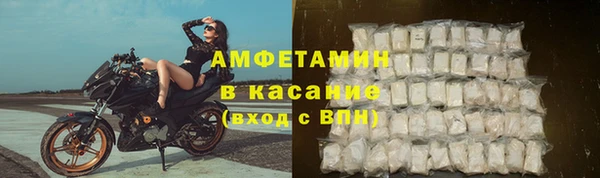 сатива Алзамай
