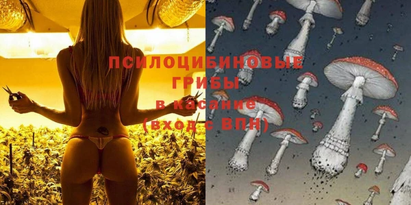 сатива Алзамай