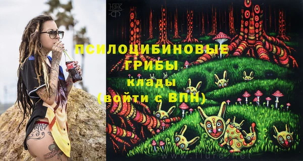 хмурый Алексин