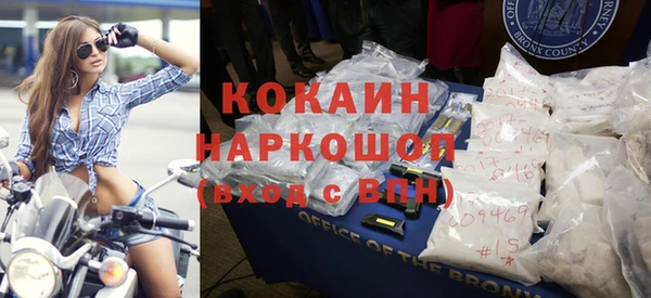 хмурый Алексин