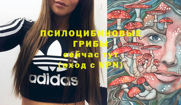 сатива Алзамай