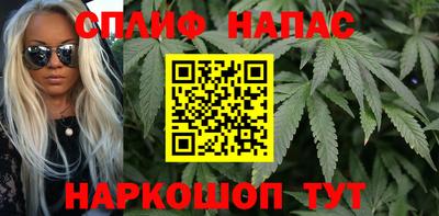 Альфа ПВП Надым