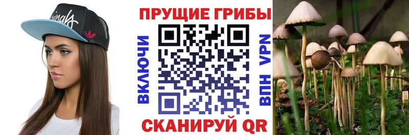 Галлюциногенные грибы мухоморы  Аргун 