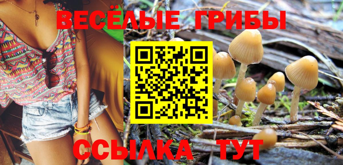 Псилоцибиновые грибы Magic Shrooms  Галлюциногенные грибы ЛСД  Аргун  Вход с VPN 