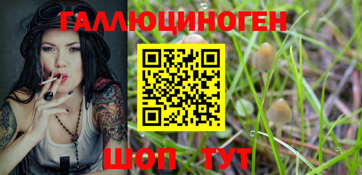 Галлюциногенные грибы ЛСД Аргун