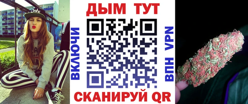Бошки Шишки гибрид  Аргун 